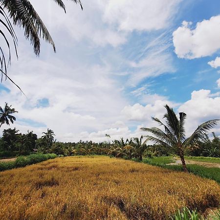 Bunga Maliq Bungalow Lombok Tetebatu Eksteriør billede