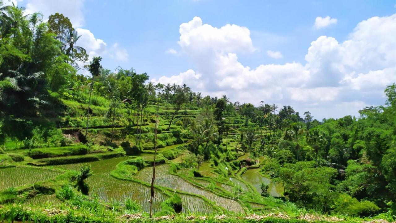 Bunga Maliq Bungalow Lombok Tetebatu Eksteriør billede