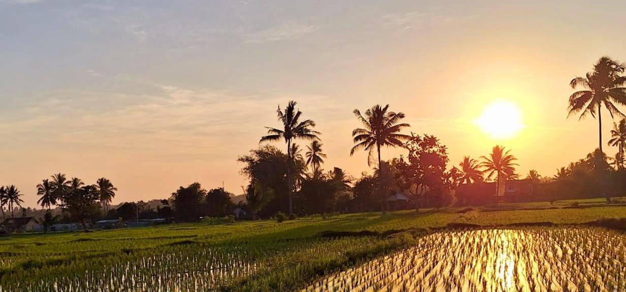 Bunga Maliq Bungalow Lombok Tetebatu Eksteriør billede