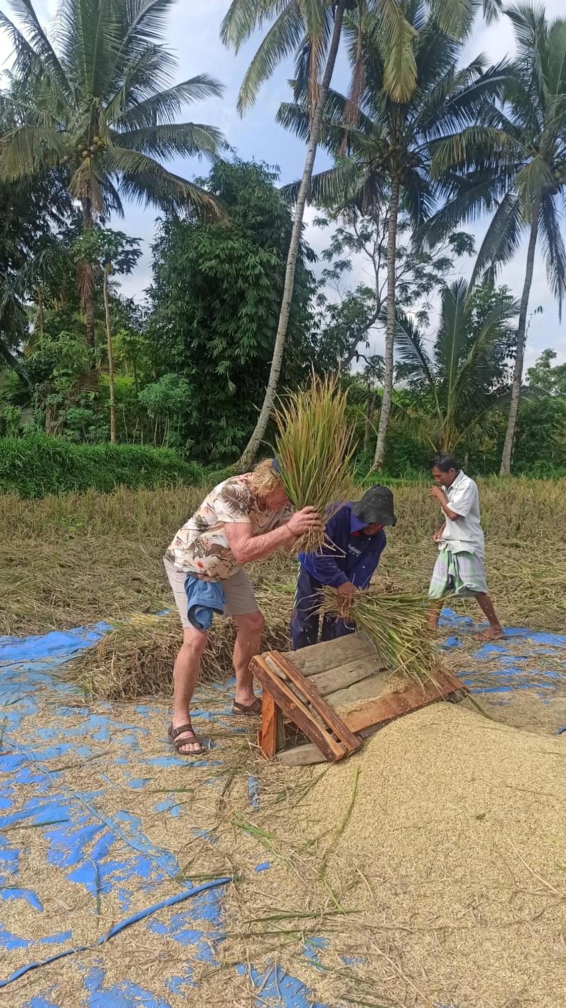 Bunga Maliq Bungalow Lombok Tetebatu Eksteriør billede