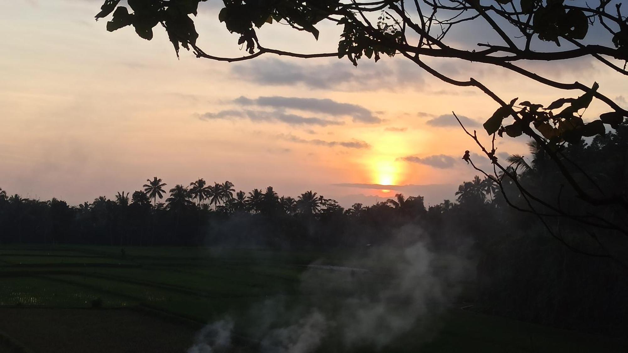 Bunga Maliq Bungalow Lombok Tetebatu Eksteriør billede