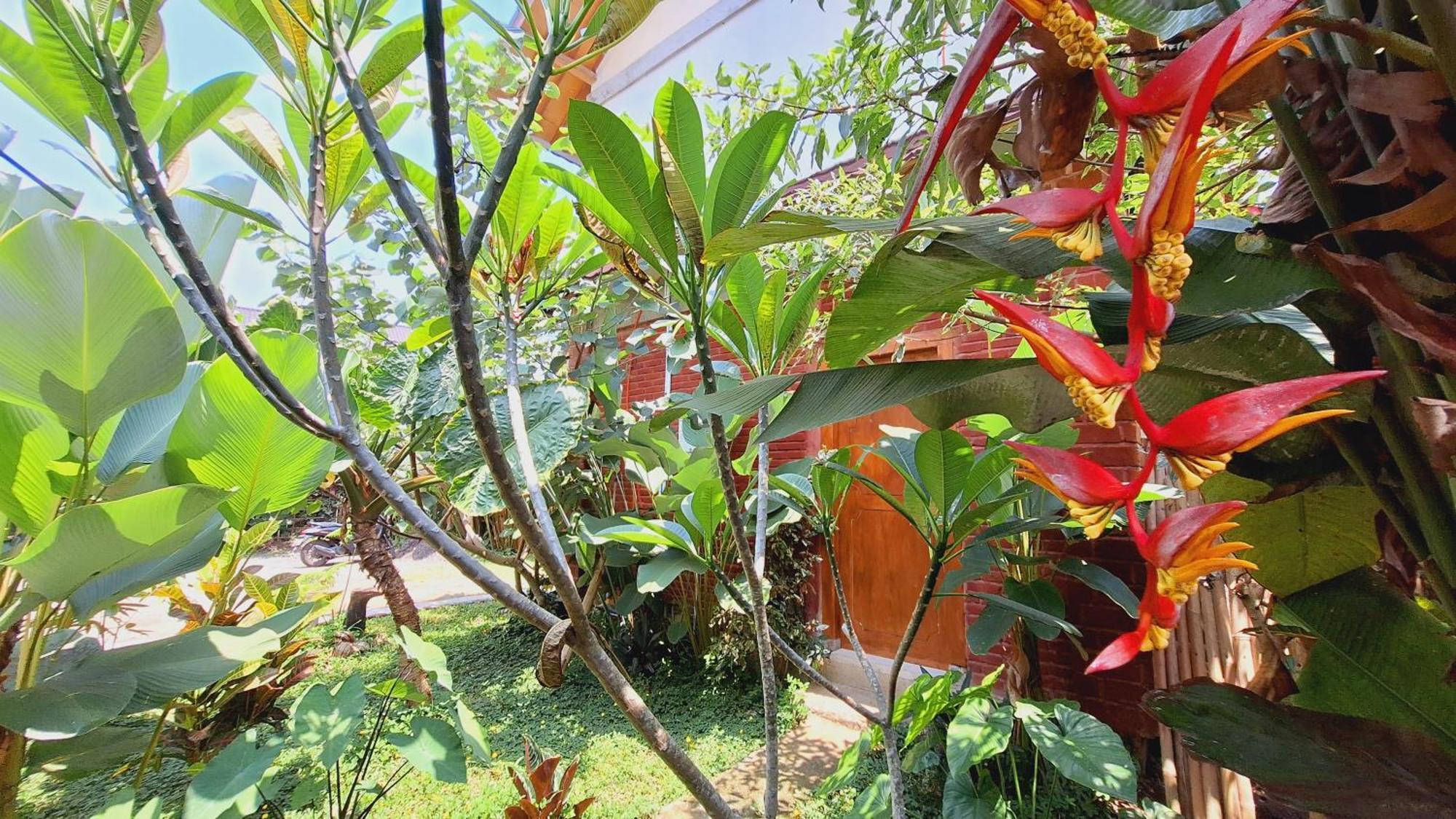 Bunga Maliq Bungalow Lombok Tetebatu Værelse billede